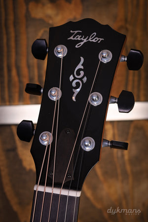 Taylor Gold Label 814e Palisander Natur