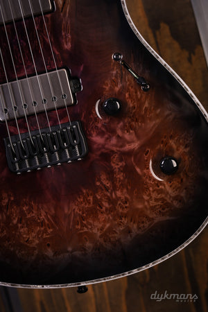 Mayones Regius 7 Burl Maple 5A Galaxy Eye Purple