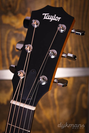 Taylor 114ce Sunburst Sonderedition