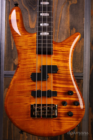 Spector Euro Euro 4 LX Amber High Gloss