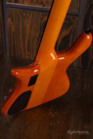 Spector Euro Euro 4 LX Amber High Gloss