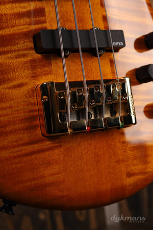 Spector Euro Euro 4 LX Amber High Gloss