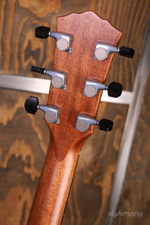 Taylor Gold Label 814. KOA