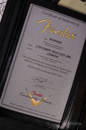 Fender Custom Shop Limited Edition CuNiFe Telecaster Custom Journeyman Relic Aged Champagne Metallic VORBESTELLUNG