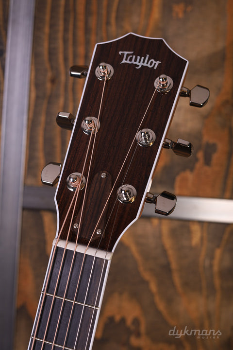 Taylor Legacy Series 815e VORBESTELLUNG