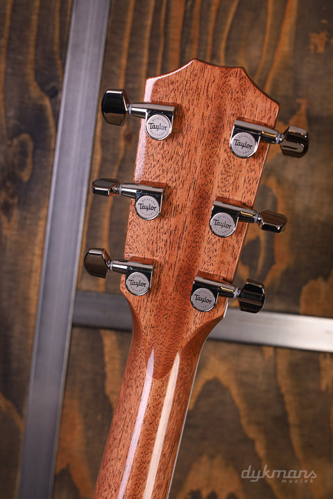 Taylor Legacy Series 815e VORBESTELLUNG