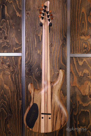 Mayones Regius 7 Buckeye Burl Master Grade Sonderfarbe