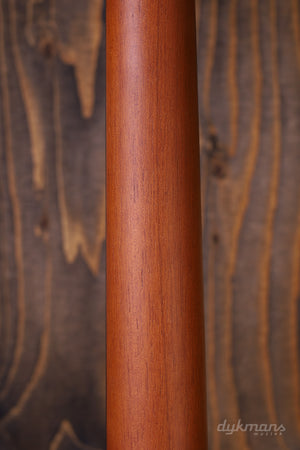 Fender Acoustasonic Standard Jazzmaster Honey Burst