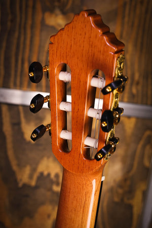 Alhambra Premier Pro Madagaskar