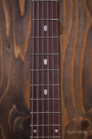 Sterling von Musikmann John Petrucci