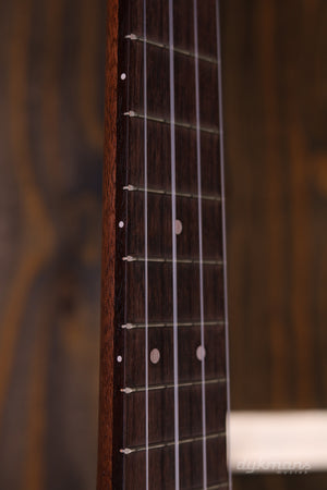 Martin Centennial Tenor-Ukulele
