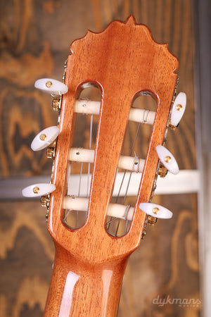 Alhambra 6 Olive Exotisches Holz