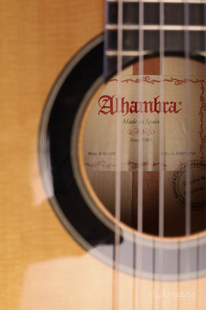 Alhambra 6 Olive Exotisches Holz