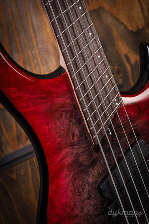 Dingwall Custom Shop Z3X-5 Buckeye Burl Schwarz zu Pink Reverse Burst