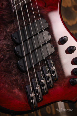 Dingwall Custom Shop Z3X-5 Buckeye Burl Schwarz zu Pink Reverse Burst