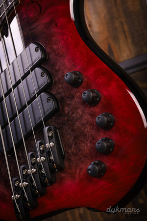 Dingwall Custom Shop Z3X-5 Buckeye Burl Schwarz zu Pink Reverse Burst