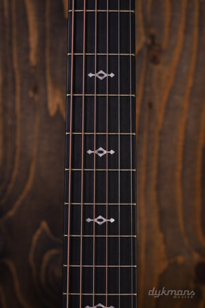 Taylor 314ce V-Klasse