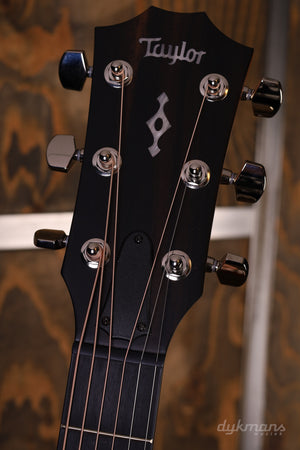 Taylor 314ce V-Klasse