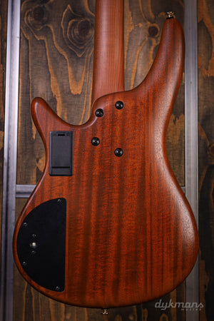 Ibanez SR5500 Prestige Mocha Flat