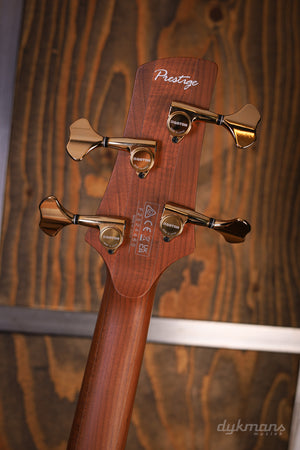 Ibanez SR5500 Prestige Mocha Flat