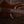 Ibanez SR5500 Prestige Mocha Flat