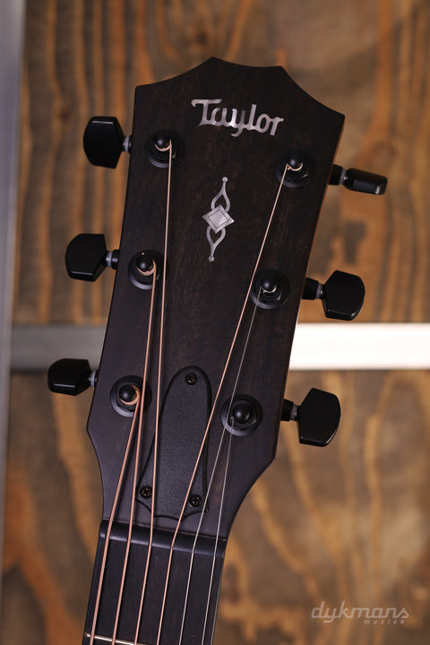 Taylor 324ce V-Class-Verstrebung