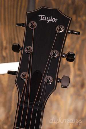 Taylor 814ce V-Class-Verstrebung