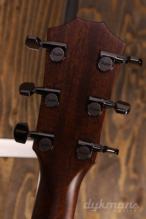 Taylor 814ce V-Class-Verstrebung