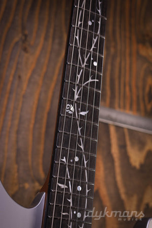 Ibanez TOD10N Tim Henson Unterschrift