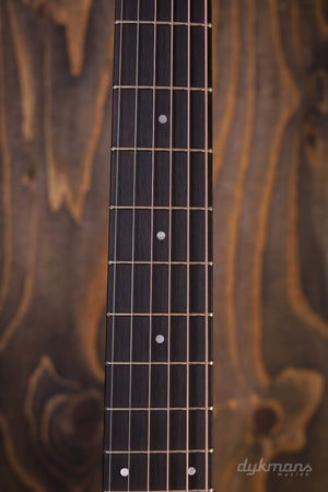 Taylor 214ce Palisander