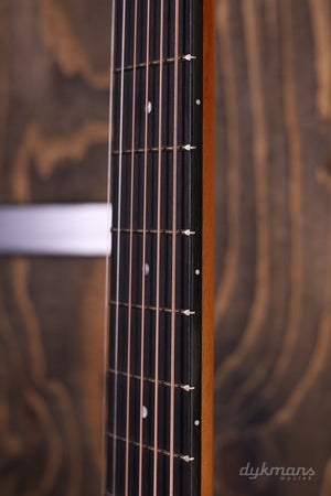 Taylor 214ce Palisander