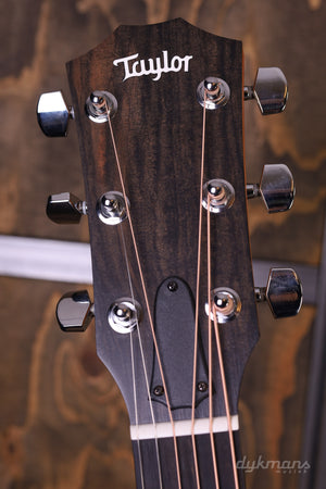 Taylor 214ce Palisander