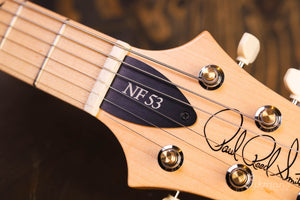 PRS NF53 Schwarzes Hundehaar