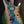 Mayones Regius 6 Buckeye Burl Master Grade Sonderfarbe