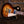 Gibson Les Paul Standard 50er Tobacco Burst