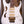 Ibanez PIA3761-SLW Stallion White