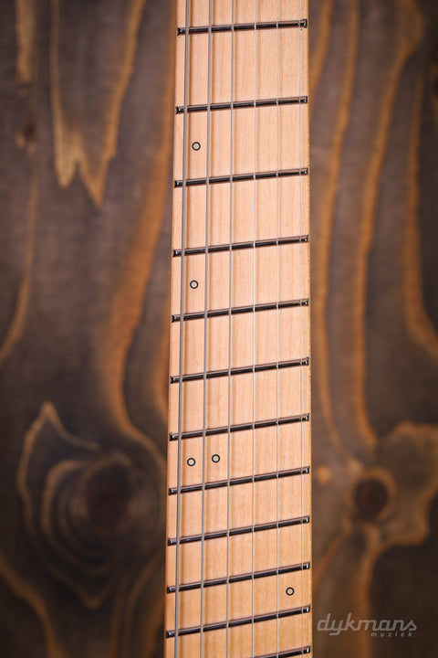 Strandberg Boden Standard NX 6 Kohle