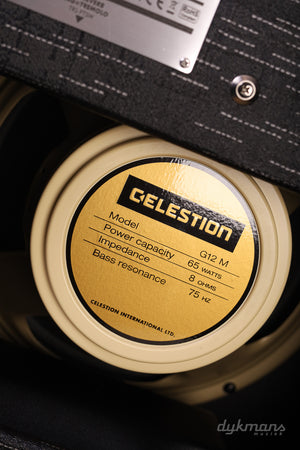 Supro 1614RT Amulett-Kombination