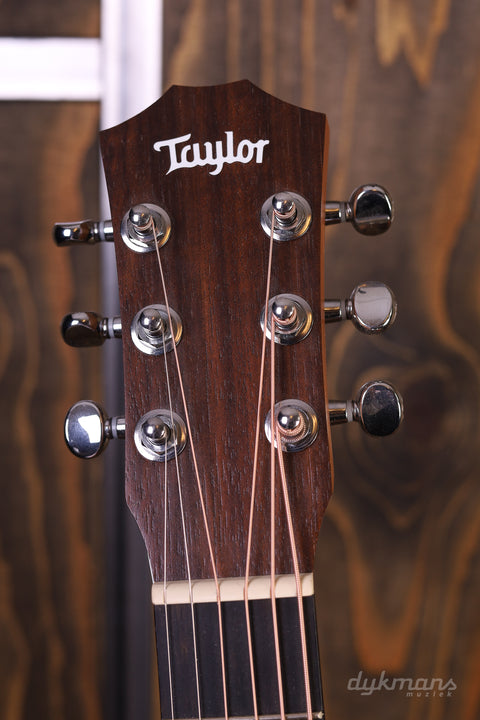 Taylor BT1. Baby Taylor Lefty