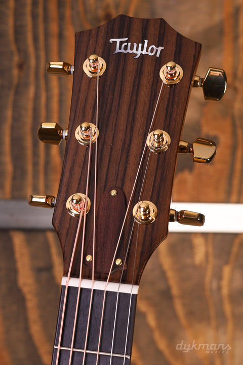 Taylor Legacy Series 514ce VORBESTELLUNG