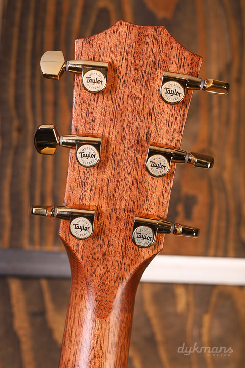 Taylor Legacy Series 514ce VORBESTELLUNG