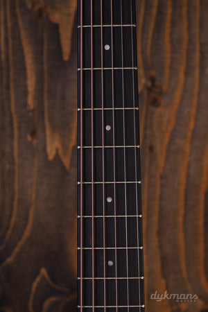Taylor 214ce Palisander
