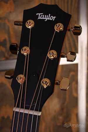 Taylor 50-jähriges Jubiläum 217e-SB Plus LTD