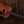 Taylor 50-jähriges Jubiläum 217e-SB Plus LTD
