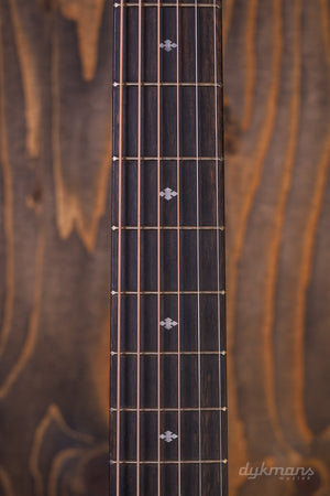 Taylor 214ce-BLK DLX + kostenloser Taylor-Gurt!