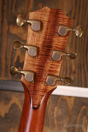 Taylor Custom GA LTD Cocobolo + kostenloser Taylor-Gurt!