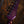 Ibanez Xiphos XPT420DXRGC Rose Gold Chameleon
