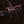 Ibanez Xiphos XPT420DXRGC Rose Gold Chameleon