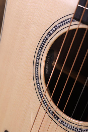 Martin D-16E Palisander