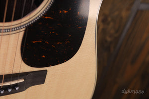 Martin D-16E Palisander